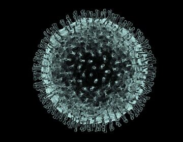Coronavirus 360x280